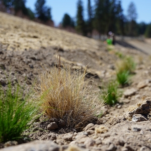 Soil Erosion Service Project