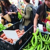 Students shopping at the UT Farm Stand