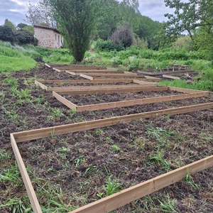 IE Sustainability Townhall: A Participatory Funding Model for Campus Sustainability and Community Impact