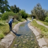 Volunteers perform beautification work on the Trans California Pathway, an outdoor arboretum of native California plants located on the south side of the Stanislaus State campus. The pathway serves as an educational landscape illustrating the native plants and flora that existed naturally in the Central Valley, plus provides a venue for education and learning for university students and the community alike.