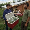 First Food Hub Pick-up and Delivery, Cycle Farm, Spearfish, SD