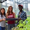 First-year Environmental Fellows and Sustainability Leadership Program members planted milkweed in the campus greenhouse for use in their student-designed pollinator garden.