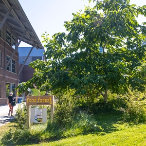 Cascadia Cornucopia Food Forest