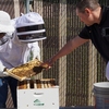 Speech faculty Brent Adrian showing students the campus bee hives