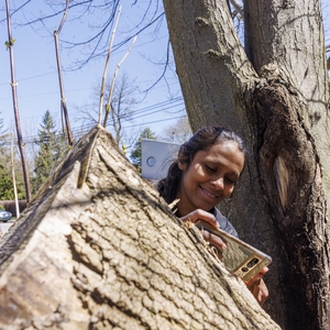 Concordia University's Earth Week BioBlitz