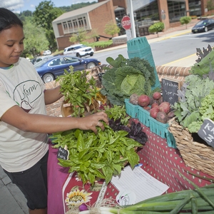 Lafayette College Sustainable Food Loop