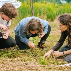 Sterling College: Field Ecology at The Farm Between