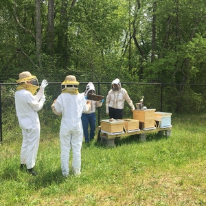 Furman Bee Club