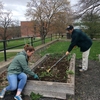 Staff and student members of the Campus Garden Advisory Committee work to prepare the campus garden for spring planting.