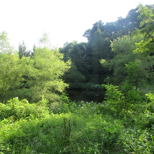 Agnes Scott College - Retention Pond / 'Lake Agnes'