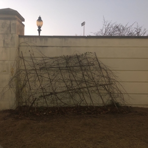 Redefining Environmental Aesthetics at Emory University