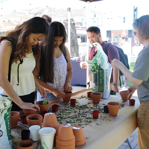 DIY Succulent Planters