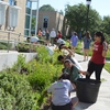 Austin College students install hundreds of native Texas plants on campus as part of a day reserved for environmental service projects