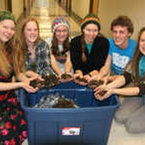 Implementing Vermicomposting in Luther College Residence Halls