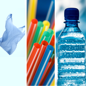 San Jose State University - System-wide single-use plastics policy