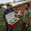 First delivery day with Cycle Farm, Spearfish, SD