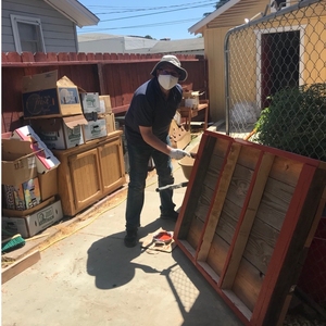 Painting the shed