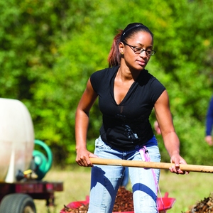 Working with vegetables, mulch and compost at the Guilford College Farm