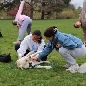 Earth Day Spring Fling at UConn