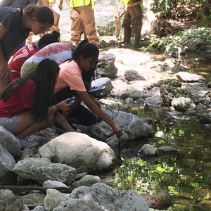 A Six Mile-Long Living Laboratory: Publishable Student Research to Foster Sustainability and Resilience in Austin’s Waller Creek