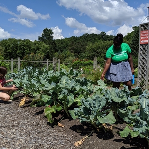 Climate Change Garden at Cornell University