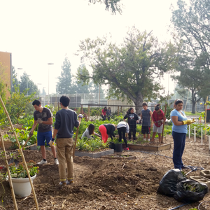 Food Garden Workday