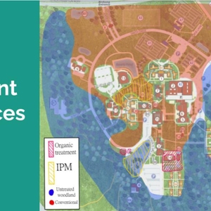 Cultivating Sustainability Leaders: The Impact of the Batten Honors College at Virginia Wesleyan University