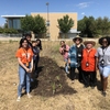 Planting in the CVC Butterfly and Edible Garden