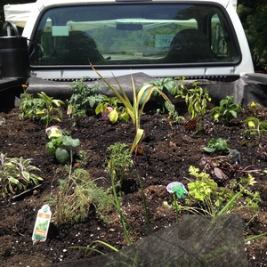 Tribe Truck Farm