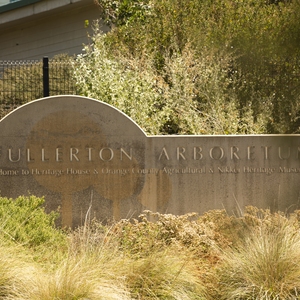 Fullerton Arboretum