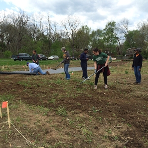 The Shawneetown Gardens: a Sustainable Campus Community Garden Cultivated through Creation of Place