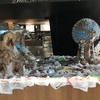 Carolina de Aguair Martins, ASPCC Sustainability & Eco Justice Program Specialist lead a team of energetic students group to create a sculpture to bring attention to the pressing issue of plastic in our oceans.