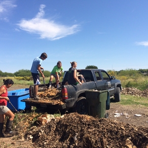 Composting for a Greener Campus: the Texas State University Bobcat Blend program