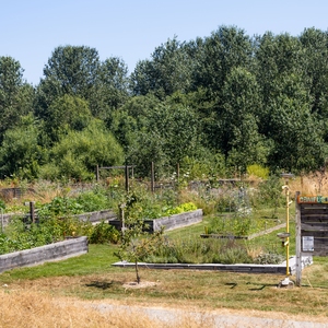 View of Cascadia/UW Bothell Campus Farm