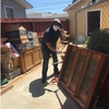 Painting the shed