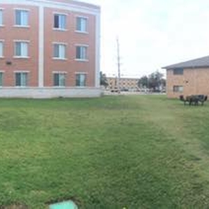 UNT Community Garden