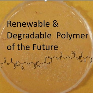 Synthesis and Study of Sustainable Polymers in the Organic Chemistry Laboratory: An inquiry-based experiment exploring the effects of size and composition on the properties of renewable block polymers