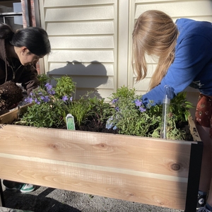 MIT adds another pollinator garden installation