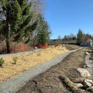 Ecological Restoration on BCIT Burnaby Campus