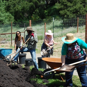 Orchard Planting: Earth Week