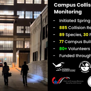 Creating a Bird-friendly Aggieland