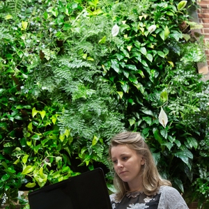 Raritan Valley Community College Living Wall