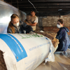 Community Conservation Corps volunteers and staff install insulation for a local homeowner