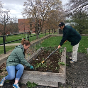 State University of New York at Cortland Campus Garden Spring Planting