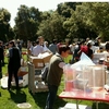 Lab users donate their own items and explore other donated items that may be useful to them during Stanford's fall 2016 lab swap meet.