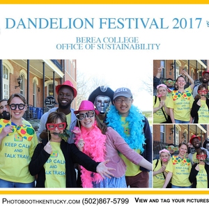 Dandelion Festival