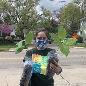 Saplings for Earth Day