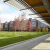 Located underneath the Campus Polonsky Commons shown here is the second largest geothermal well system in North America. The system serves all north campus buildings and is made up of 392 closed loop boreholes that extend 200m below the surface of the commons.