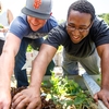 The Legacy Garden is a space on campus where both students and employees visit and volunteer. The 3,200 lbs of produce produced annually is entirely consumed by students and staff and represent the value that Saint Mary's College places on maintaining an accessible, healthy and safe environment.