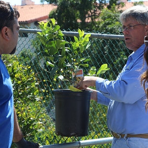 UC San Diego Earth Day: Annual Sustainability Fair & Tree Planting